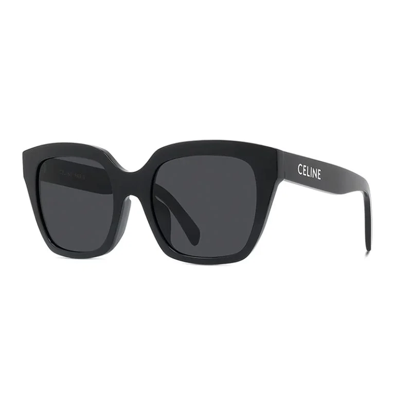 CELINE Butterfly Acetate Sunglasses