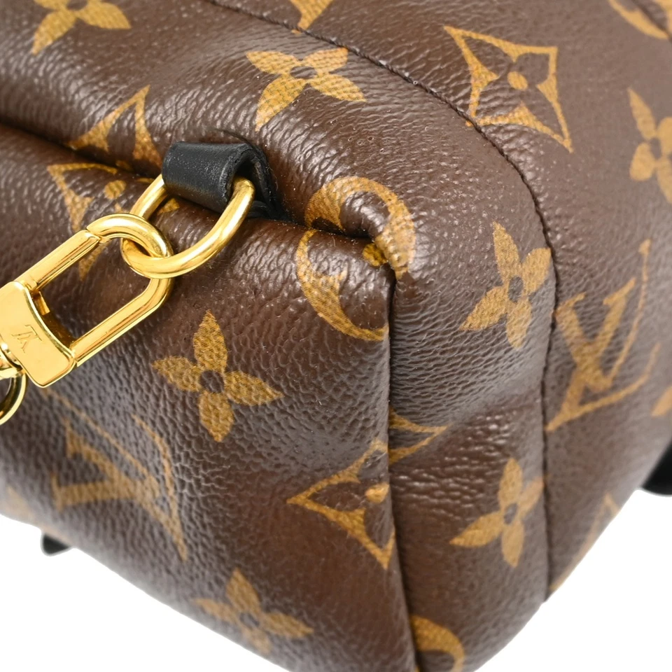 Louis Vuitton Monogram Palm Springs Mini Backpack