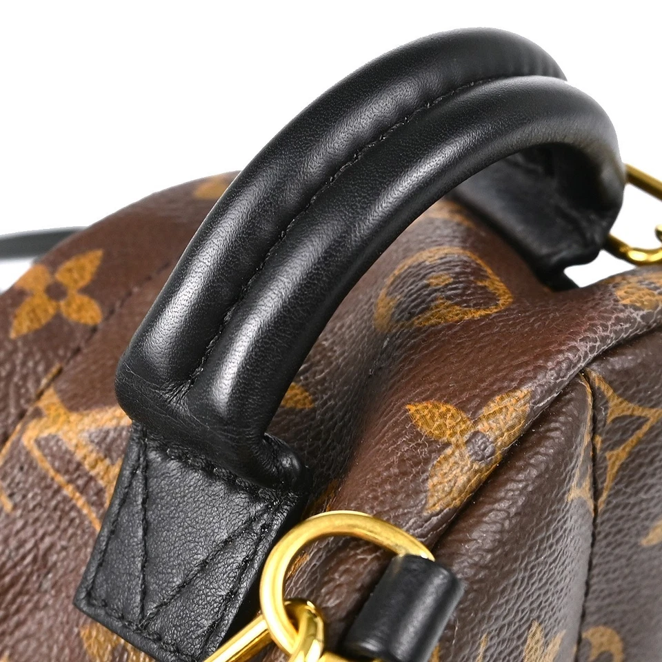 Louis Vuitton Monogram Palm Springs Mini Backpack