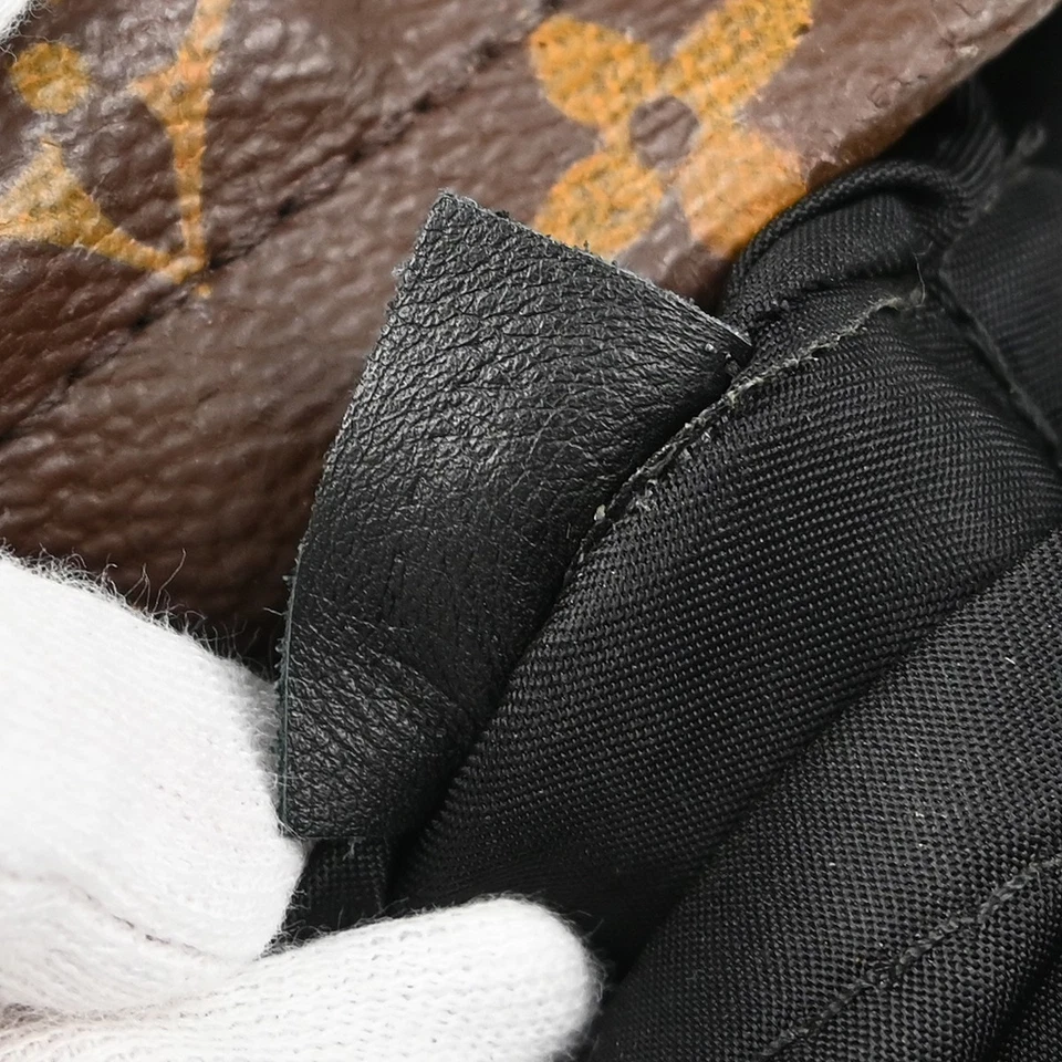 Louis Vuitton Monogram Palm Springs Mini Backpack