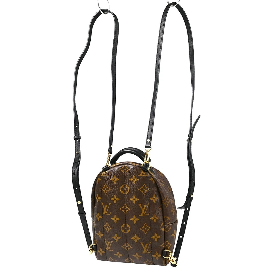 Louis Vuitton Monogram Palm Springs Mini Backpack