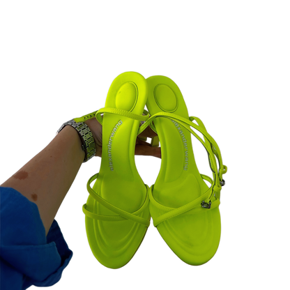 ALEXANDER WANG Logo Sandal