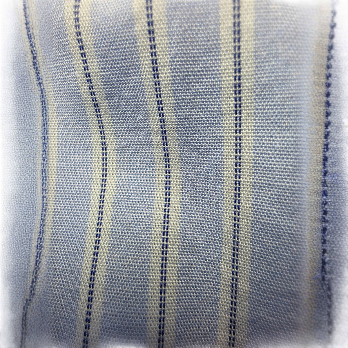Alexander Wang Cotton Boxer Shorts in Stripe Print