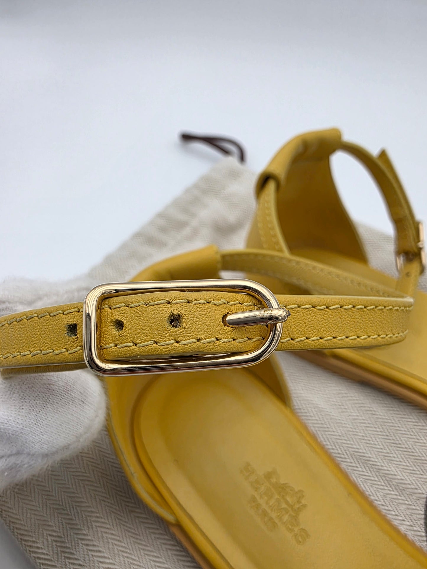 Hermès Santorini Lizard Sandals in Jaune Curcuma