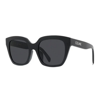 CELINE Butterfly Acetate Sunglasses