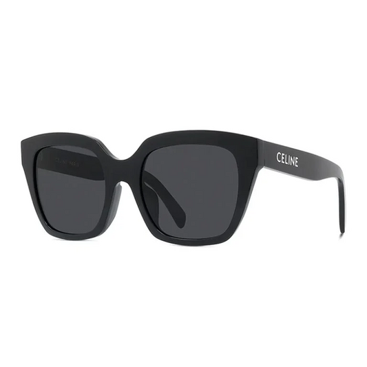 CELINE Butterfly Acetate Sunglasses