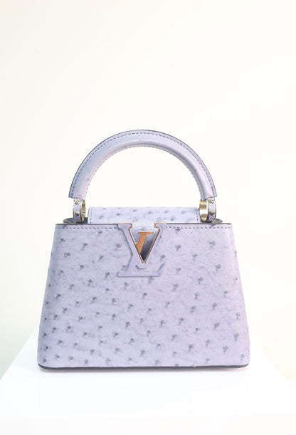 Louis Vuitton Ostrich Capucines Mini Grey