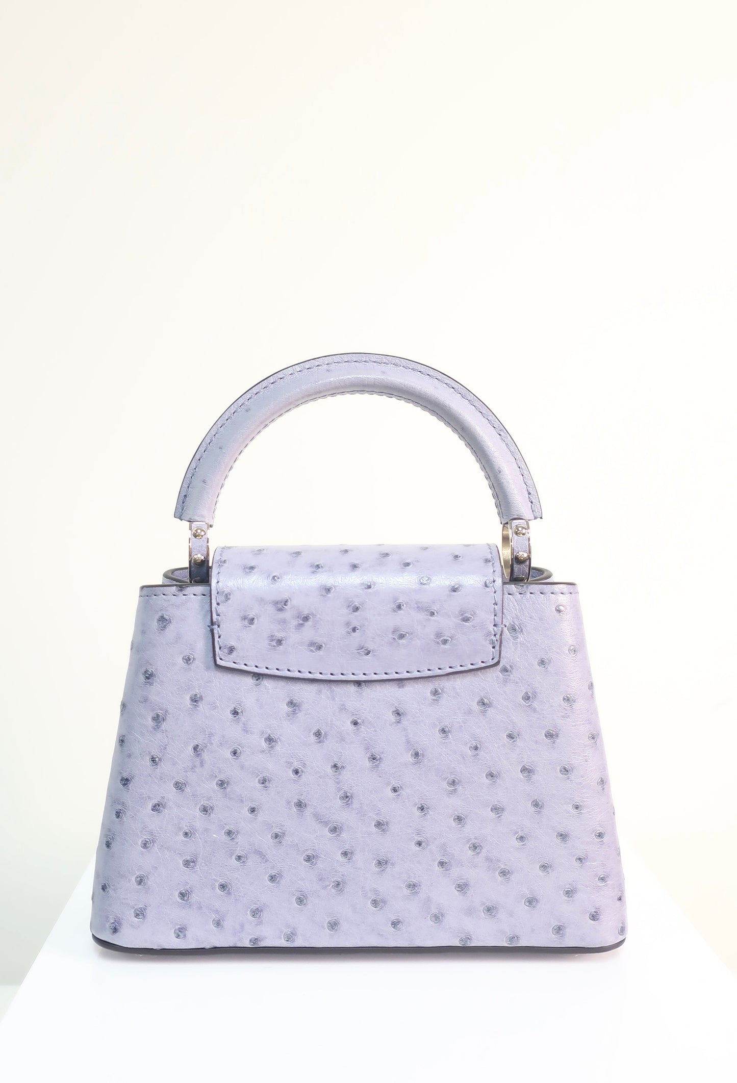 Louis Vuitton Ostrich Capucines Mini Grey