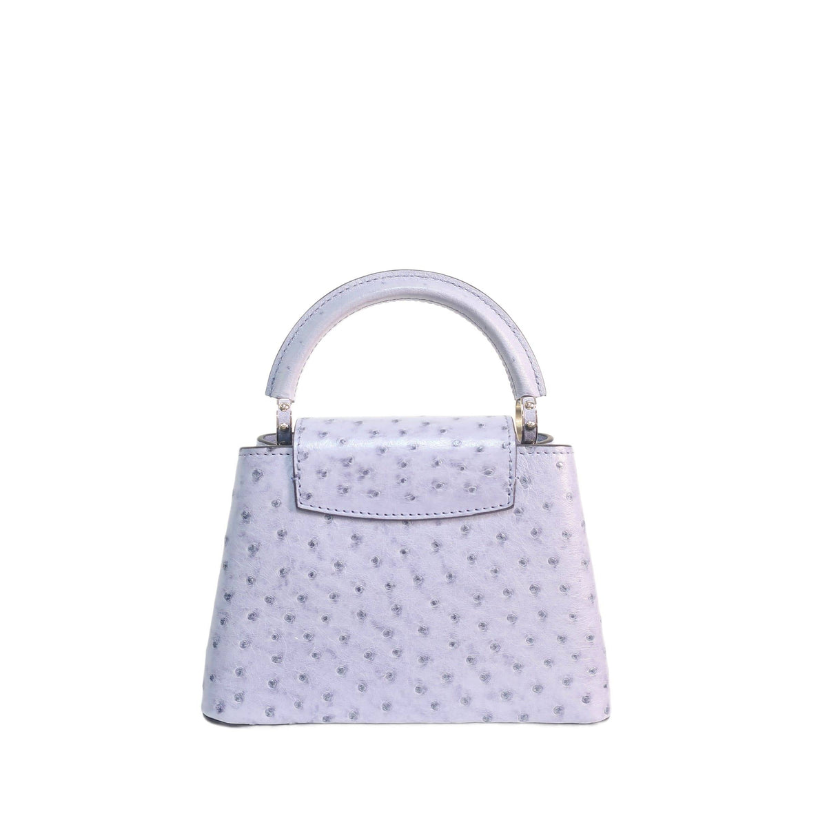 Louis Vuitton Ostrich Capucines Mini