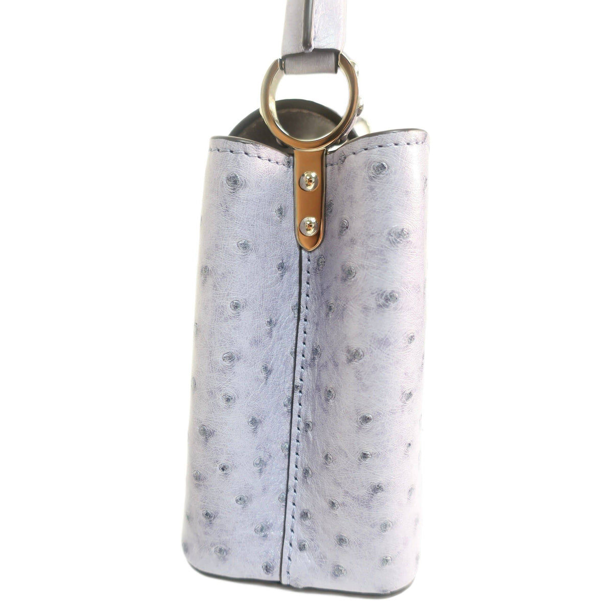 Louis Vuitton Ostrich Capucines Mini