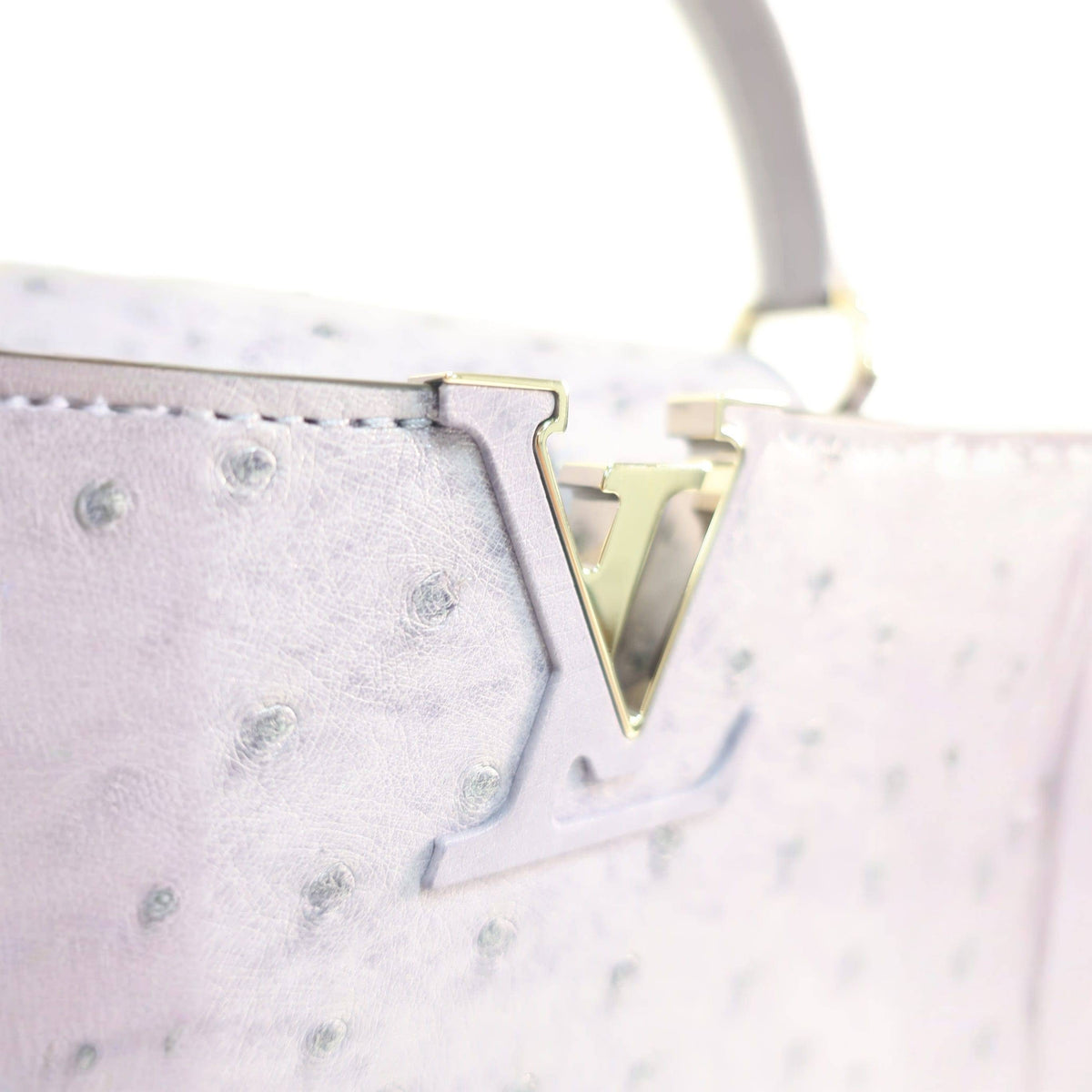 Louis Vuitton Ostrich Capucines Mini