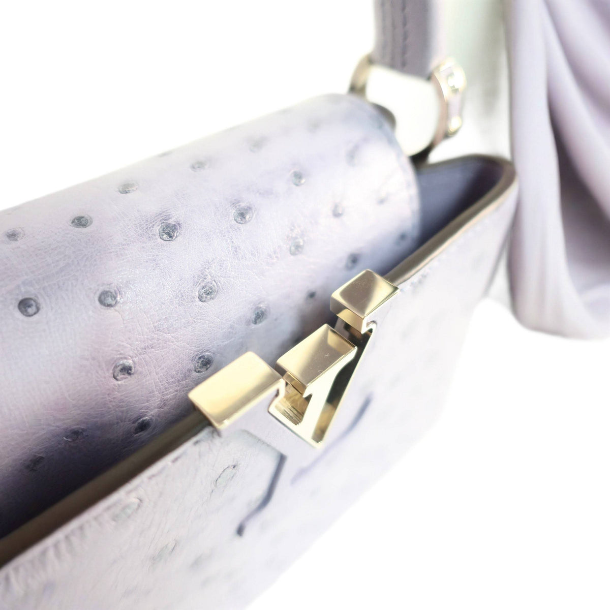 Louis Vuitton Ostrich Capucines Mini