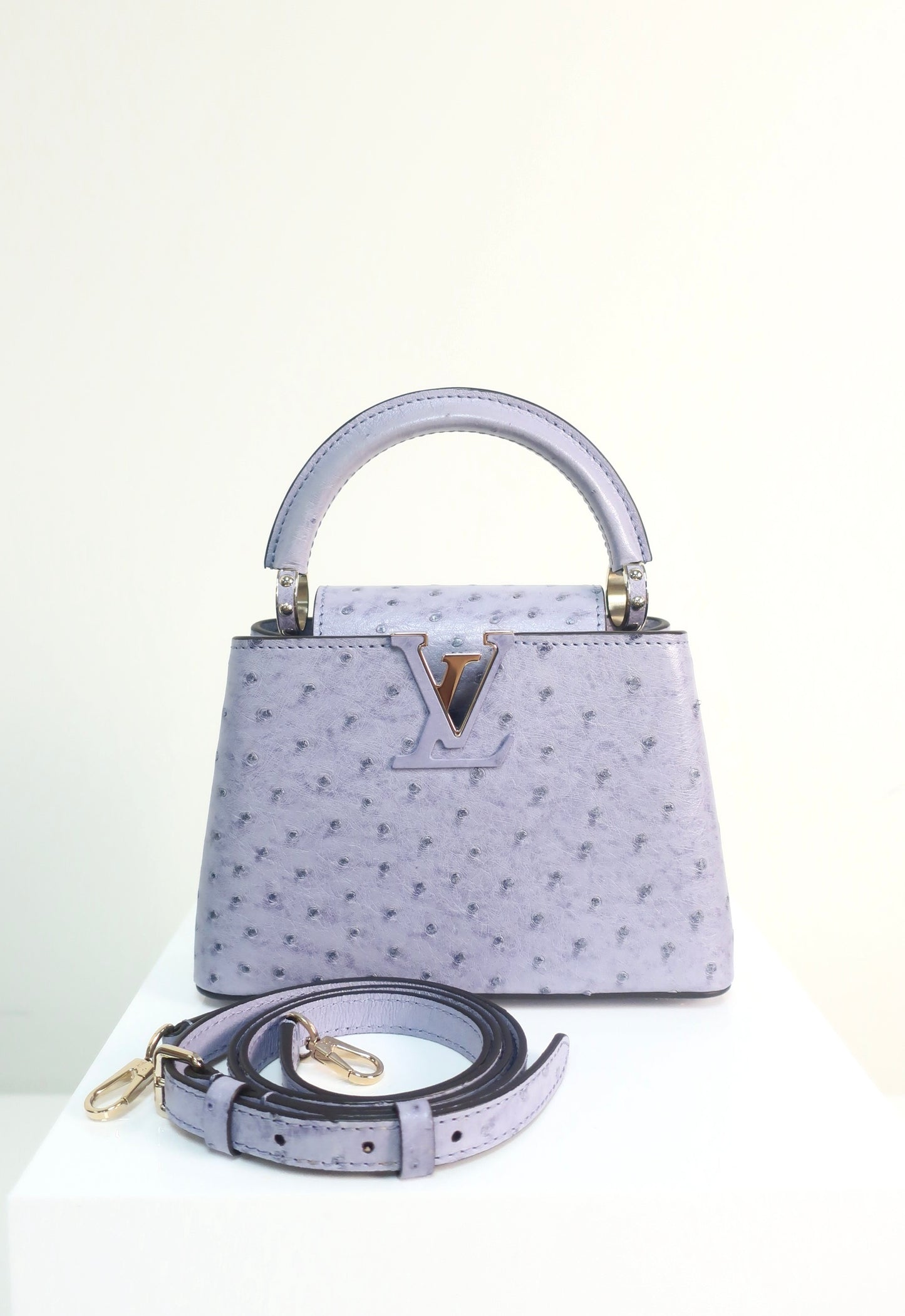 Louis Vuitton Ostrich Capucines Mini Grey