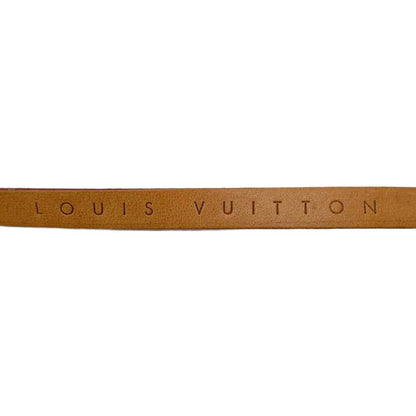 Louis Vuitton Monogram Pochette Florentine