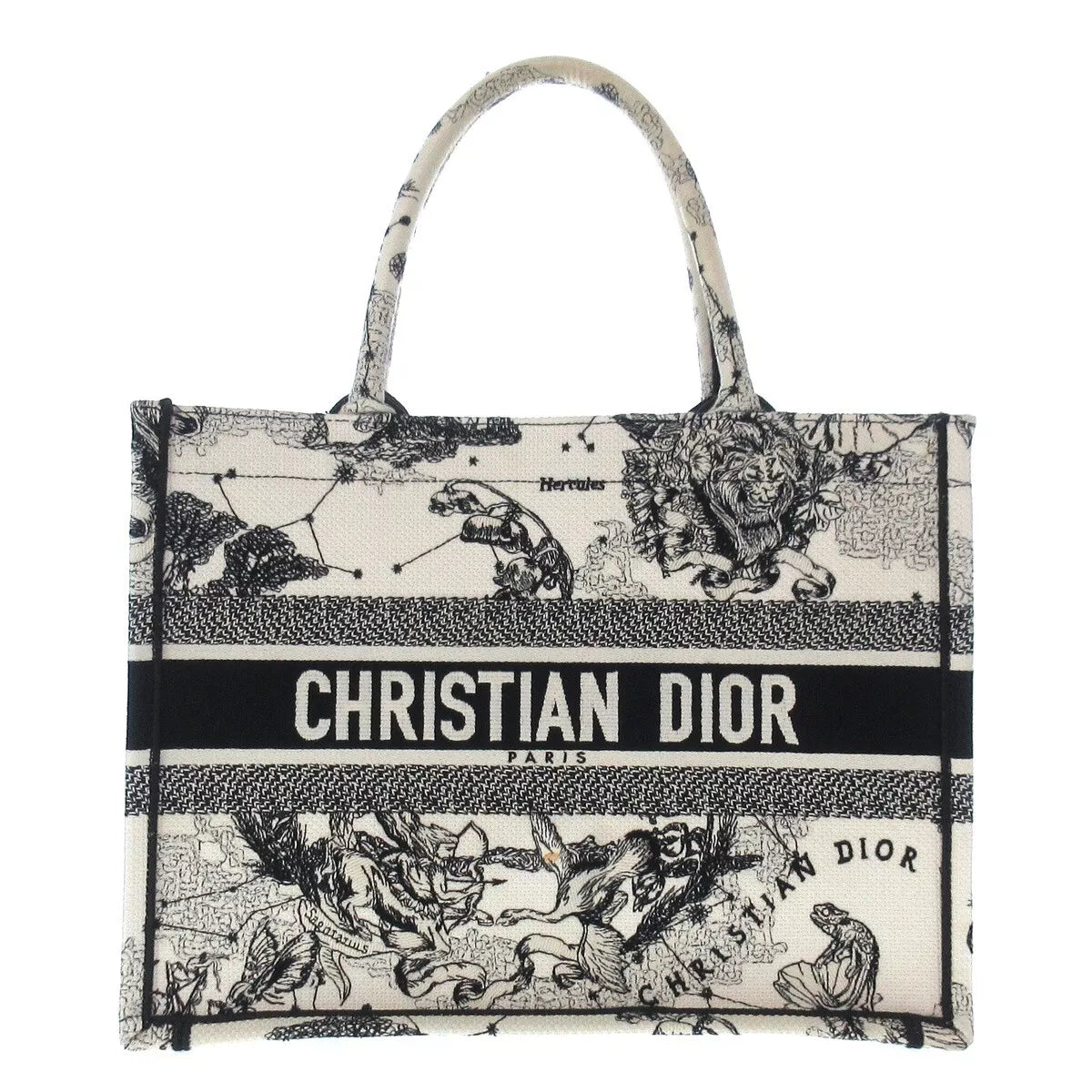 Dior Book Tote