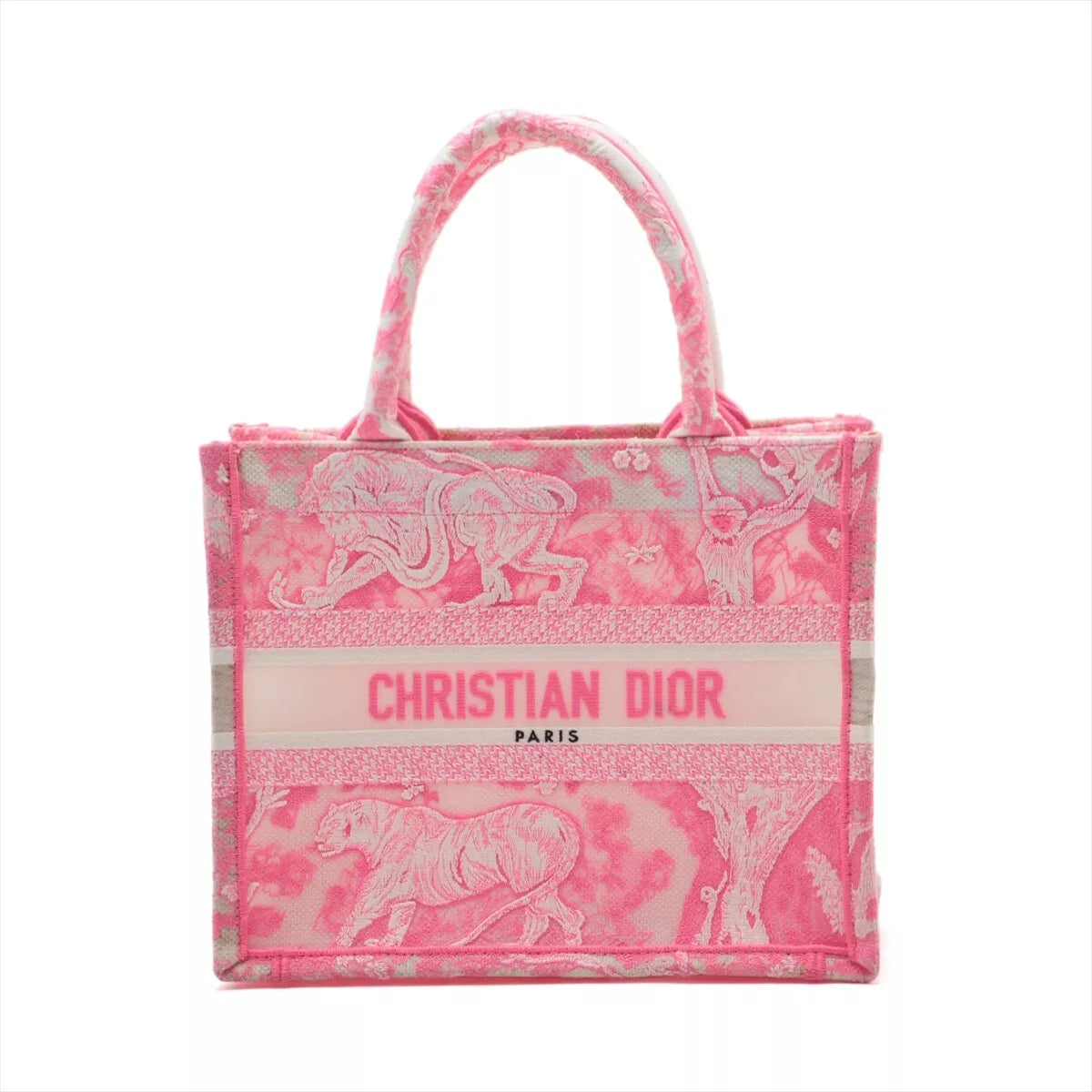 Christian Dior Book Tote