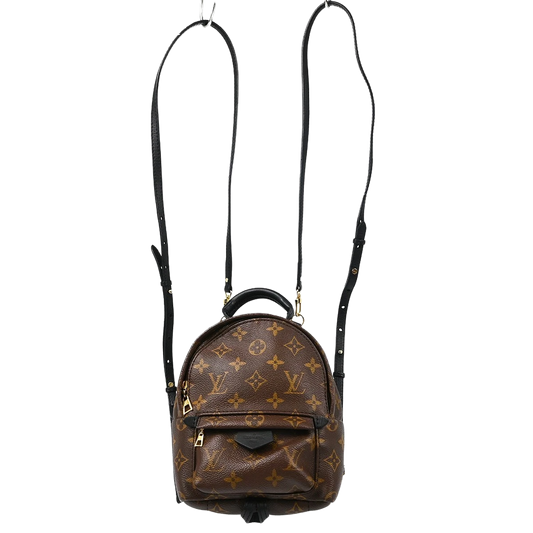 Louis Vuitton Monogram Palm Springs Mini Backpack