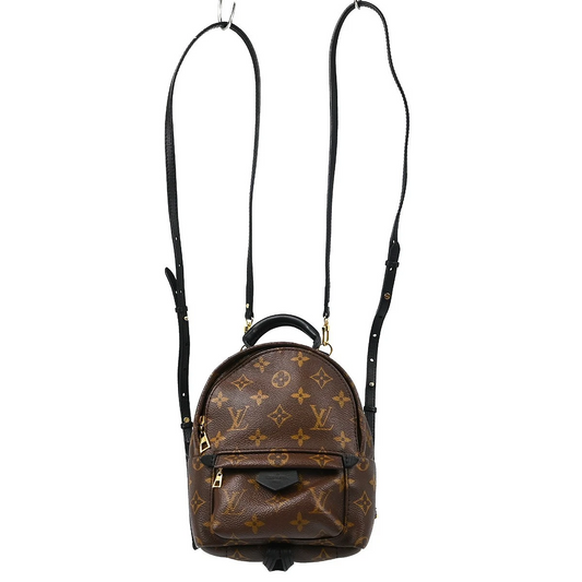Louis Vuitton Monogram Palm Springs Mini Backpack