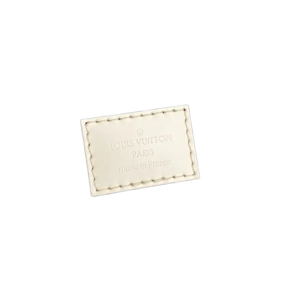 LOUIS VUITTON Cannes Vanity Bag