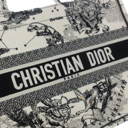Dior Book Tote