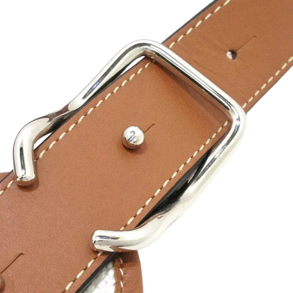 LOEWE Balloon Bag