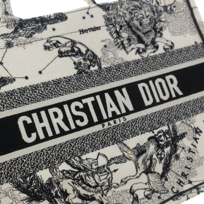 Dior Book Tote