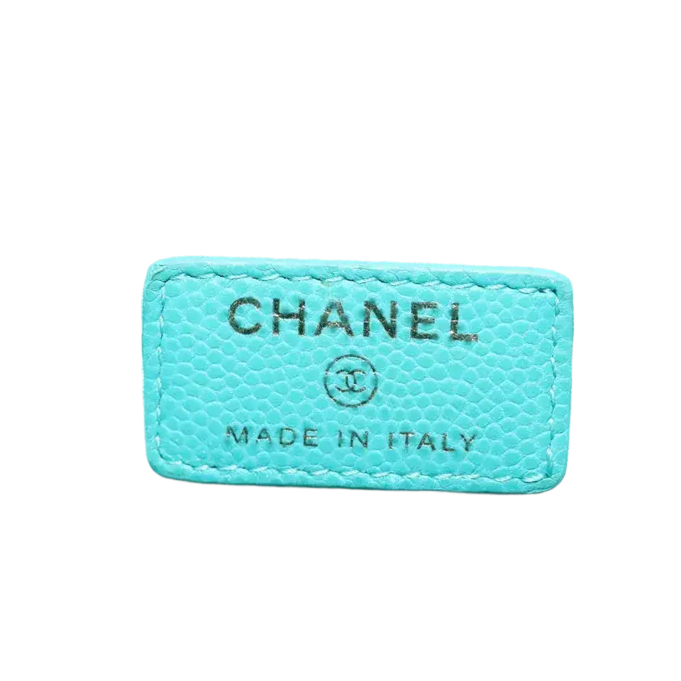 CHANEL Clutch Bag