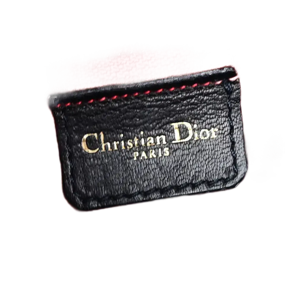 CHRISTIAN DIOR Logo Lady Cannage 2-Way Hand Bag – Black Leather
