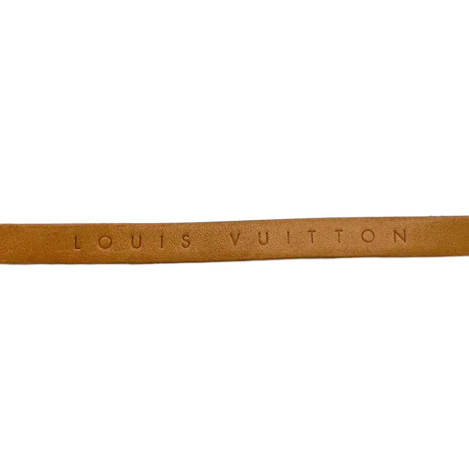 Louis Vuitton Monogram Florentine Pouch