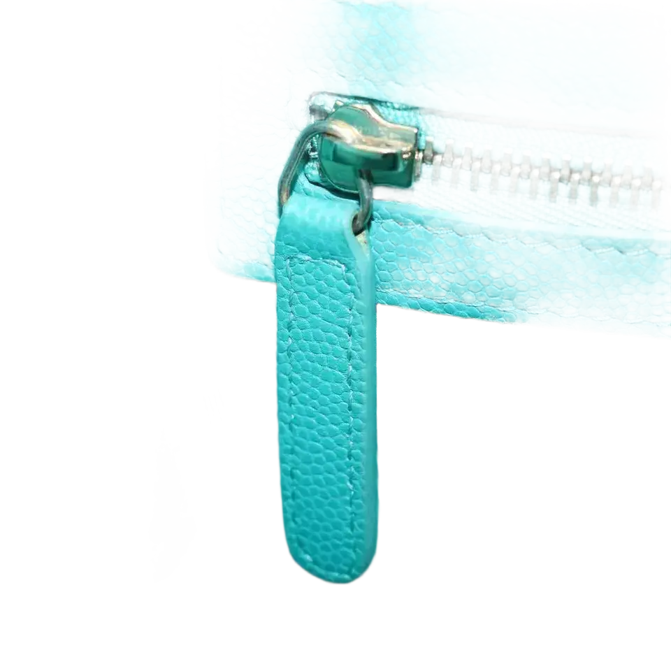 CHANEL Clutch Bag