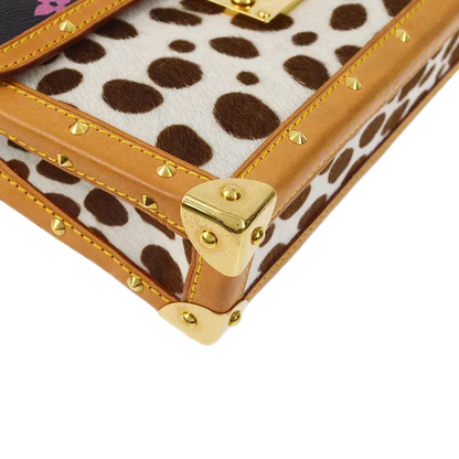 Louis Vuitton Multicolor Pochette Dalmatian Handbag