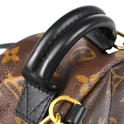 Louis Vuitton Monogram Palm Springs Mini Backpack