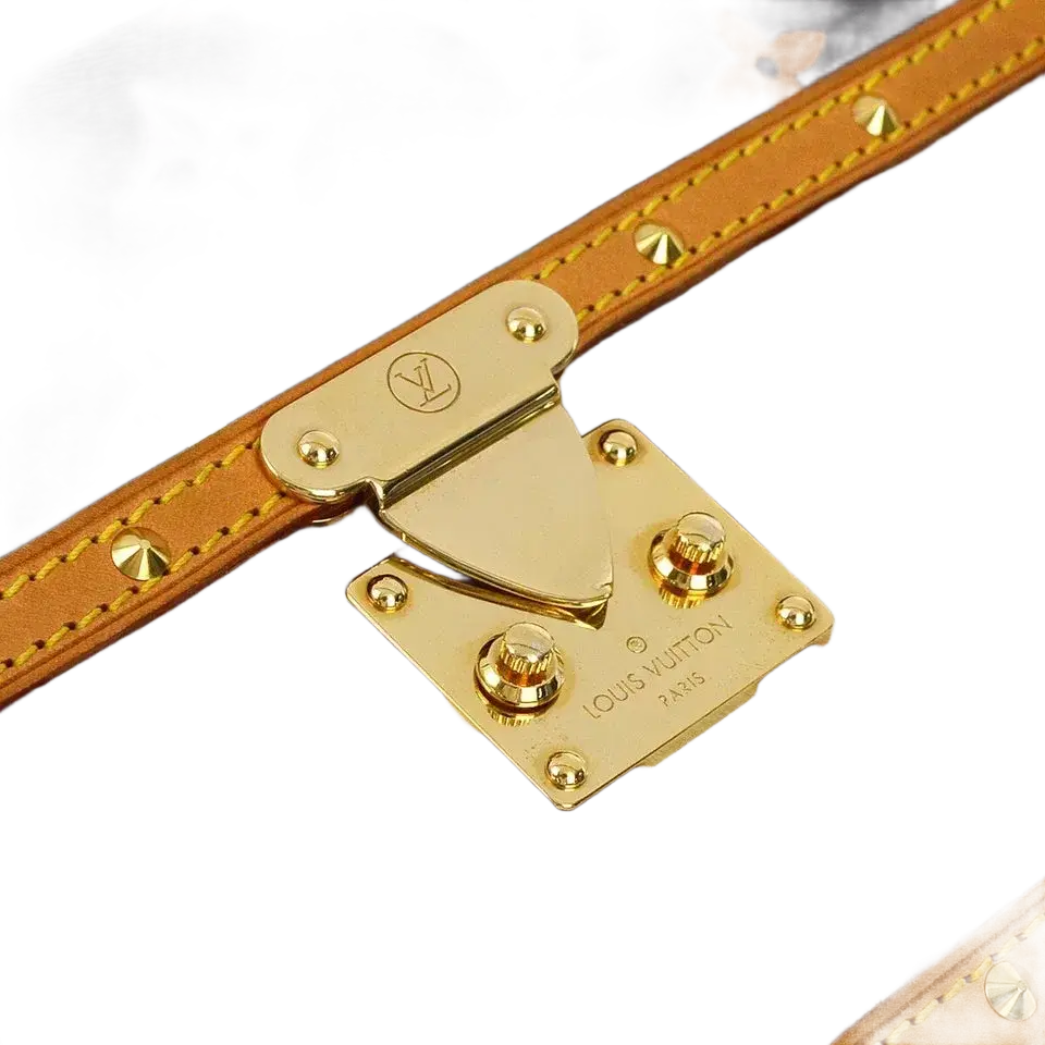 Louis Vuitton Multicolor Pochette Dalmatian Handbag