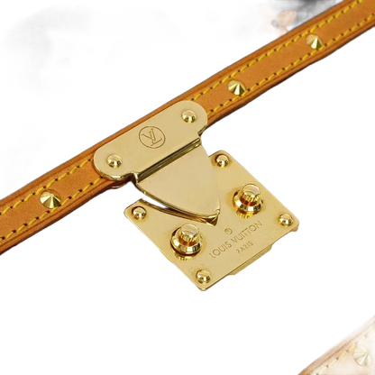 Louis Vuitton Multicolor Pochette Dalmatian Handbag