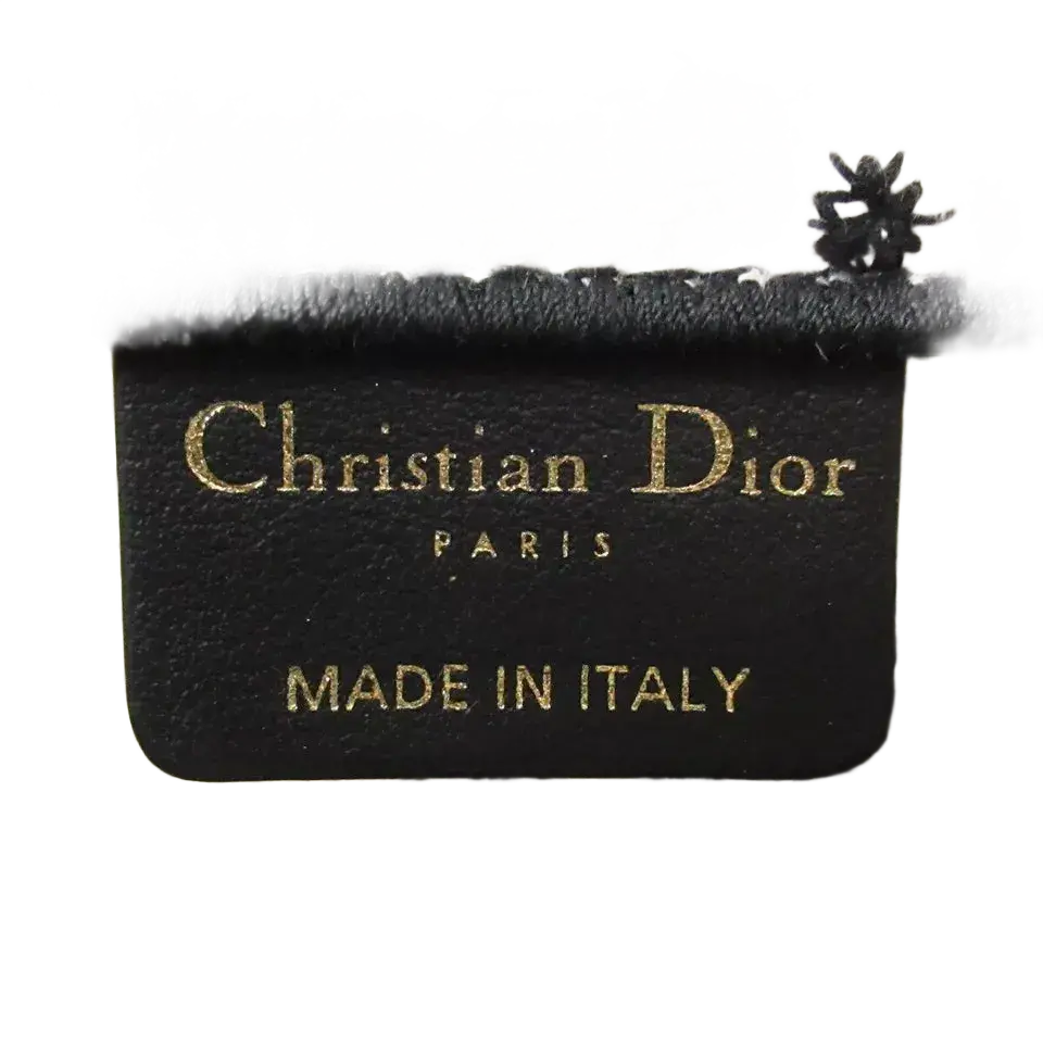 Dior Book Tote