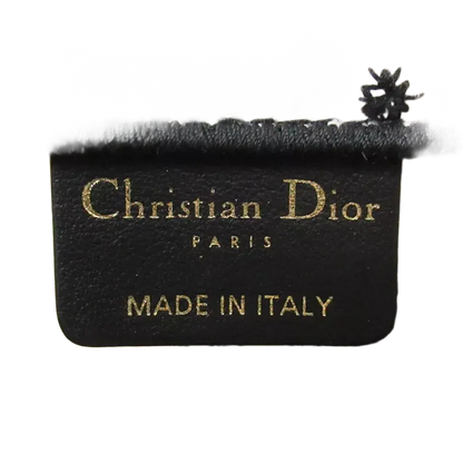 Dior Book Tote