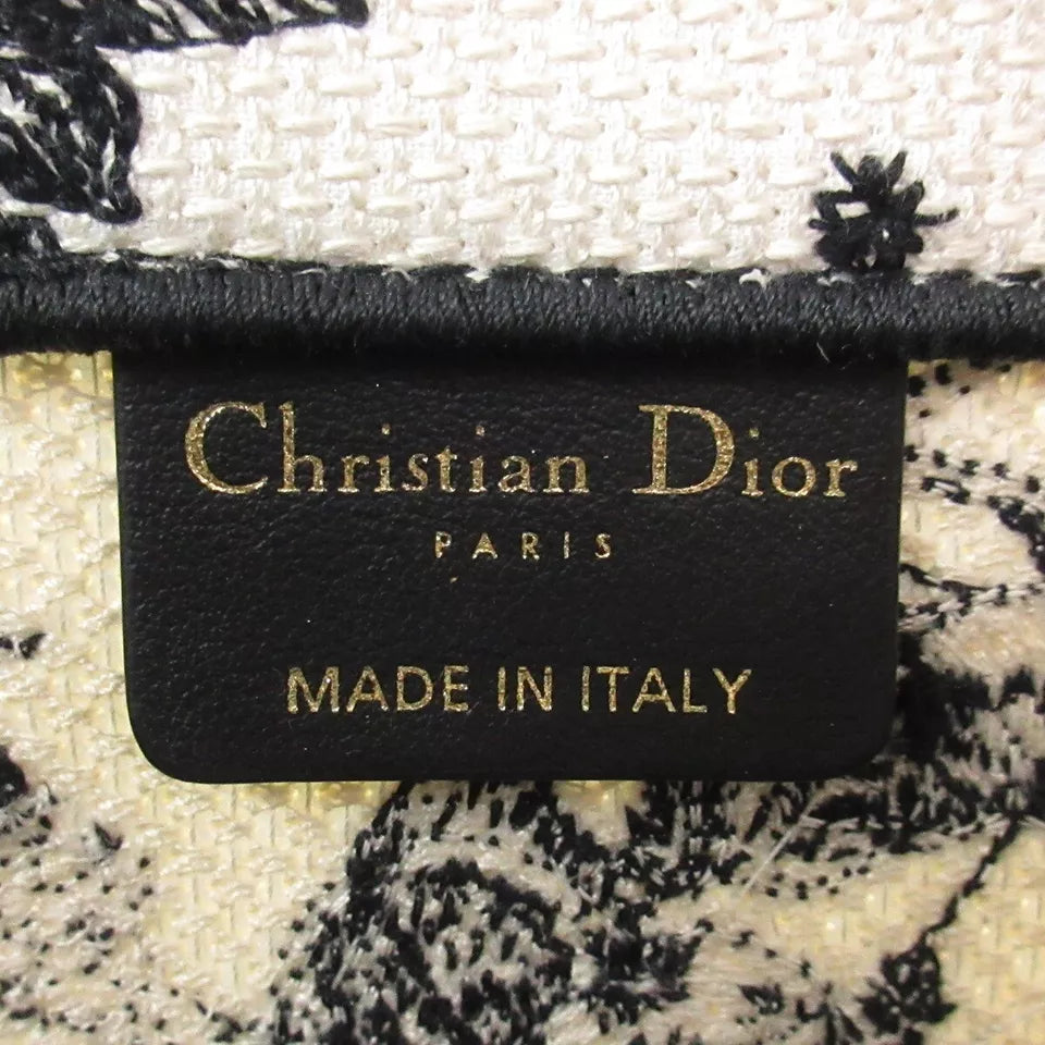 Dior Book Tote