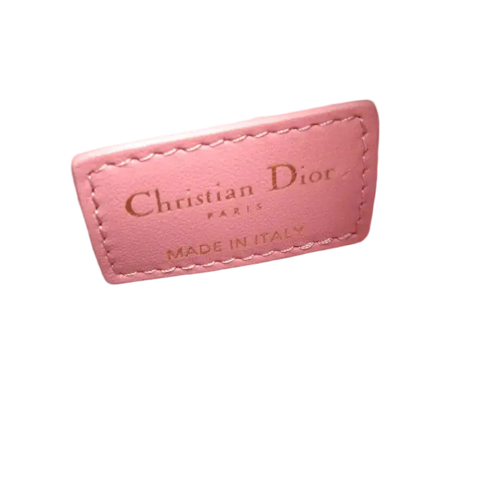 Dior Christian Dior Small Nomad Pouch – Pink Leather