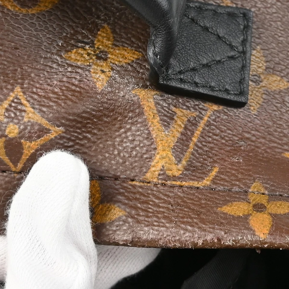 Louis Vuitton Monogram Palm Springs Mini Backpack