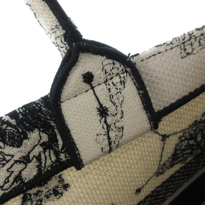 Dior Book Tote