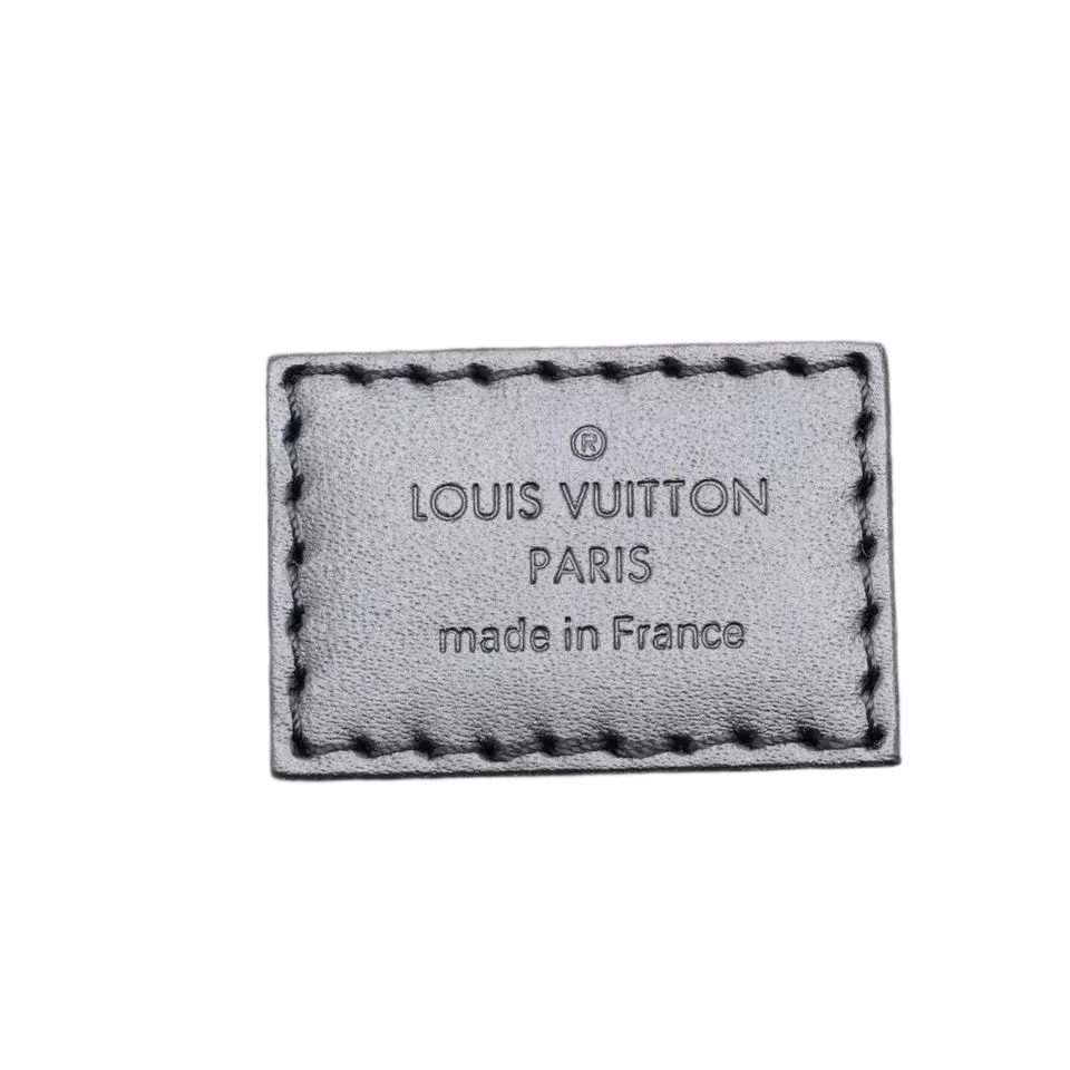 Louis Vuitton Monogram Reverse Cannes Handbag